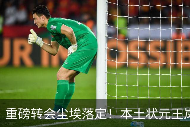 重磅转会尘埃落定！本土状元王岚嵚正式归乡，加盟山东高速男篮